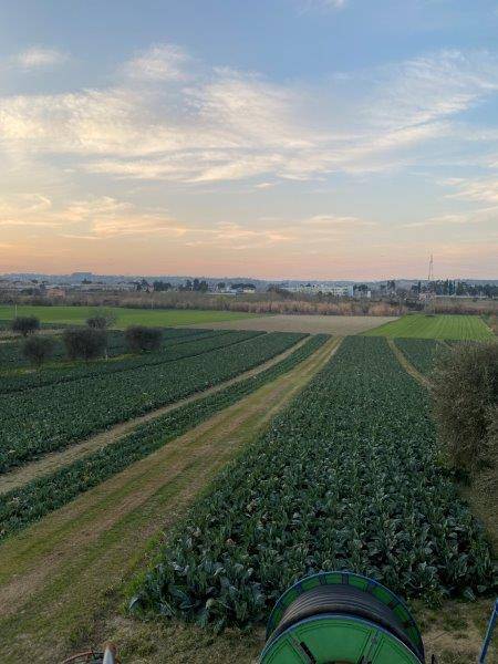 Terreno Agricolo in vendita a Alba Adriatica