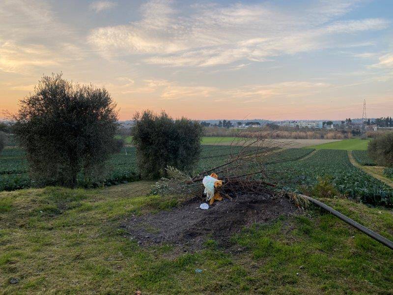 Terreno Agricolo in vendita a Alba Adriatica
