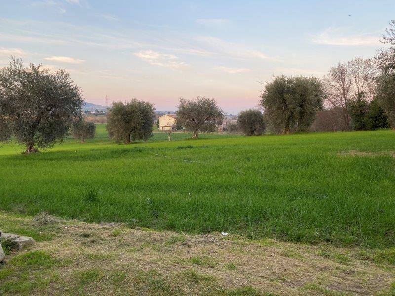Terreno Agricolo in vendita a Alba Adriatica