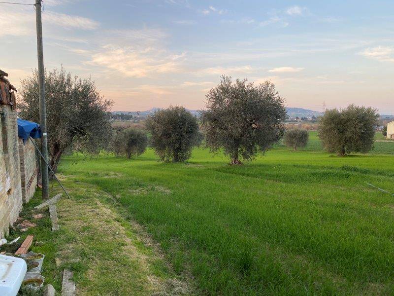 Terreno Agricolo in vendita a Alba Adriatica
