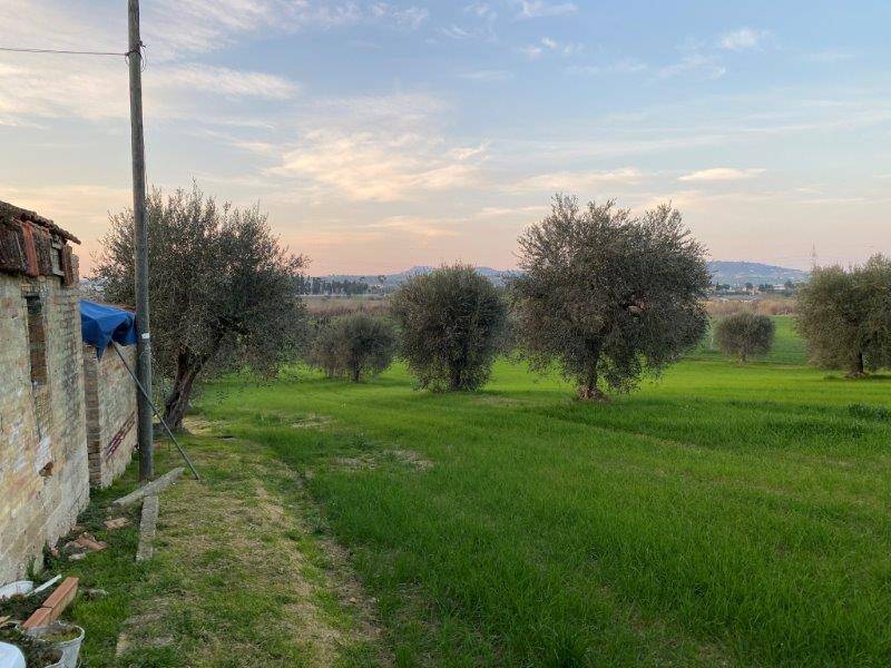 Terreno Agricolo in vendita a Alba Adriatica