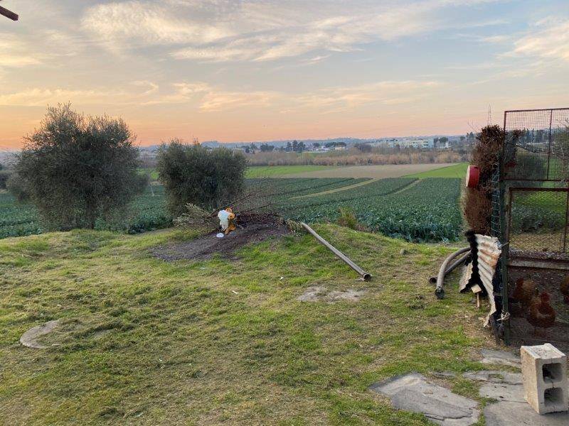Terreno Agricolo in vendita a Alba Adriatica