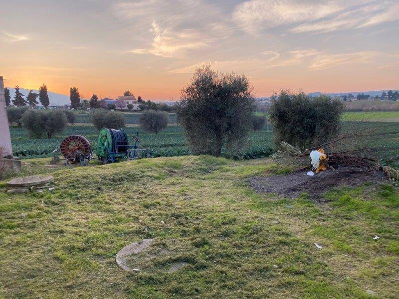Terreno Agricolo in vendita a Alba Adriatica