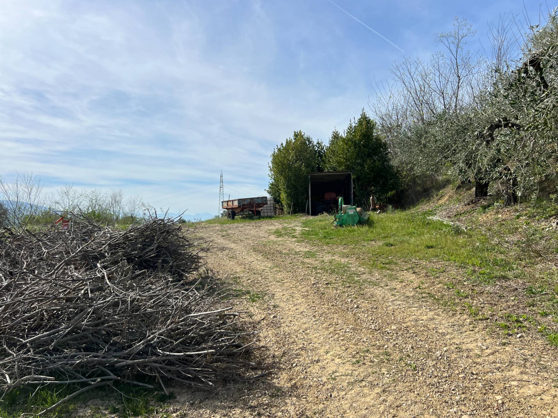 Terreno Agricolo in vendita a Tortoreto