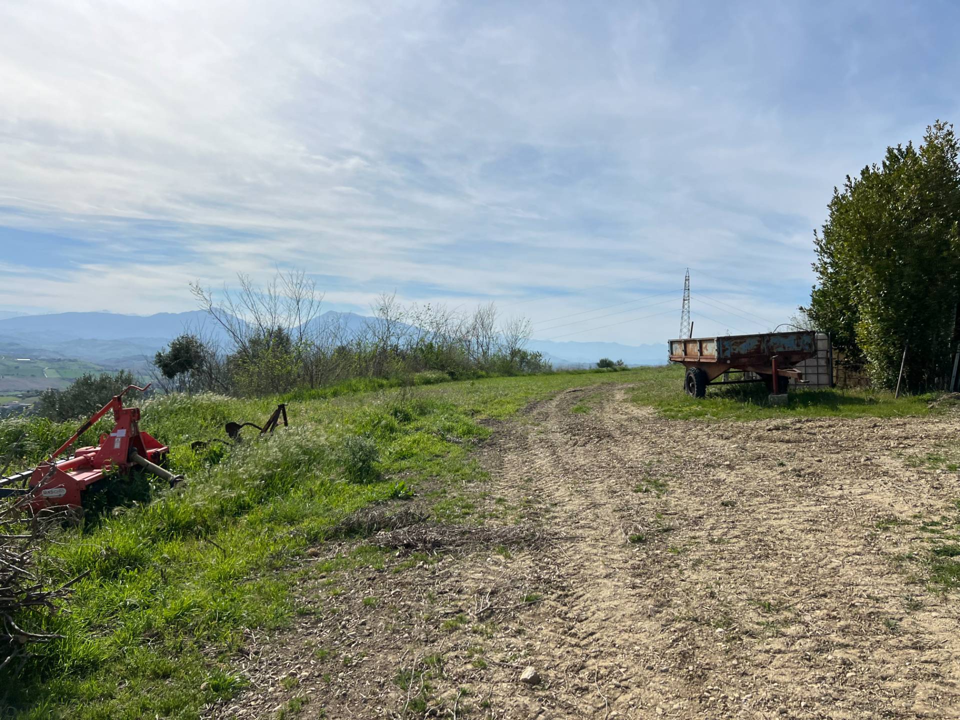Terreno Agricolo in vendita a Tortoreto