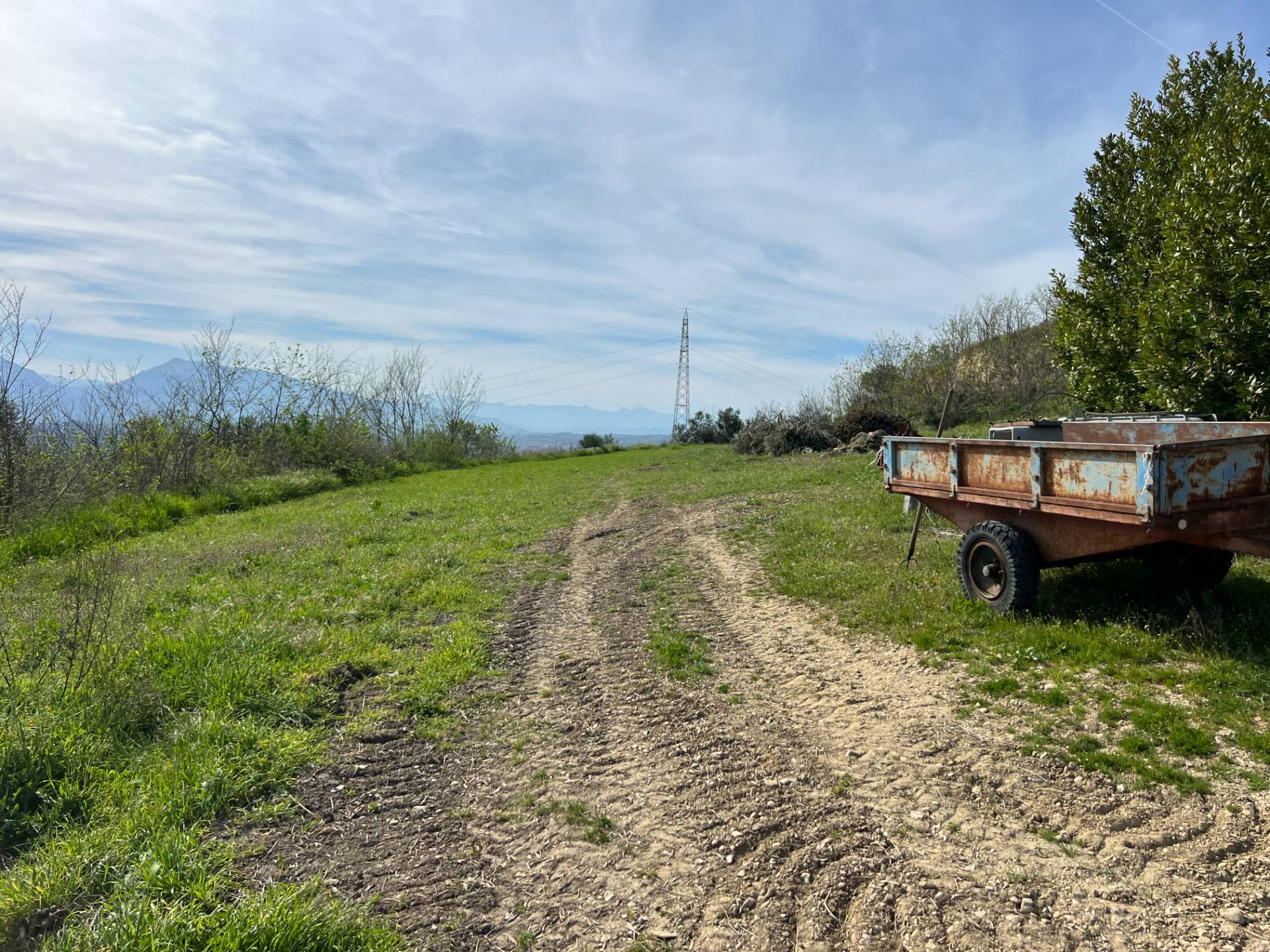Terreno Agricolo in vendita a Tortoreto