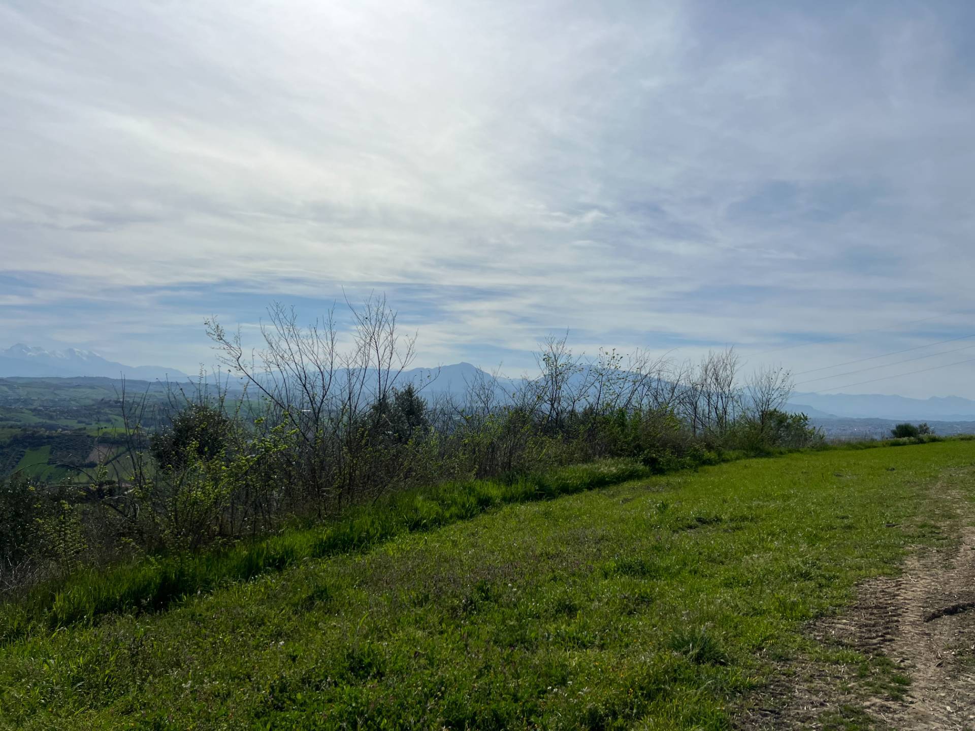 Terreno Agricolo in vendita a Tortoreto