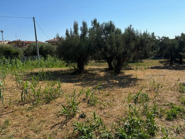 Terreno Agricolo in vendita a Tortoreto