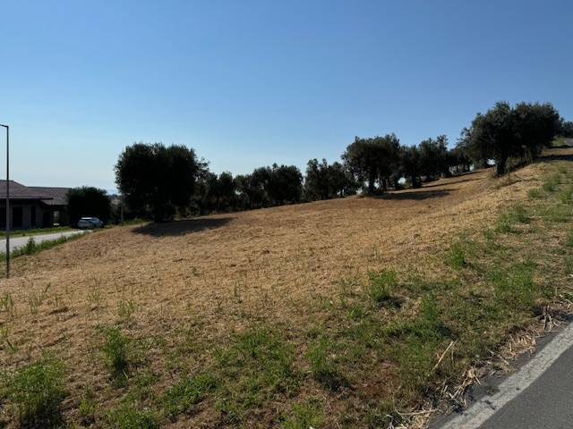 Terreno Agricolo in vendita a Tortoreto