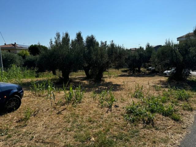 Terreno Agricolo in vendita a Tortoreto