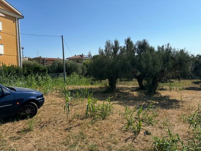 Terreno Agricolo in vendita a Tortoreto