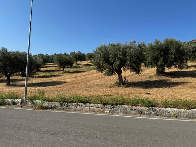 Terreno Agricolo in vendita a Tortoreto