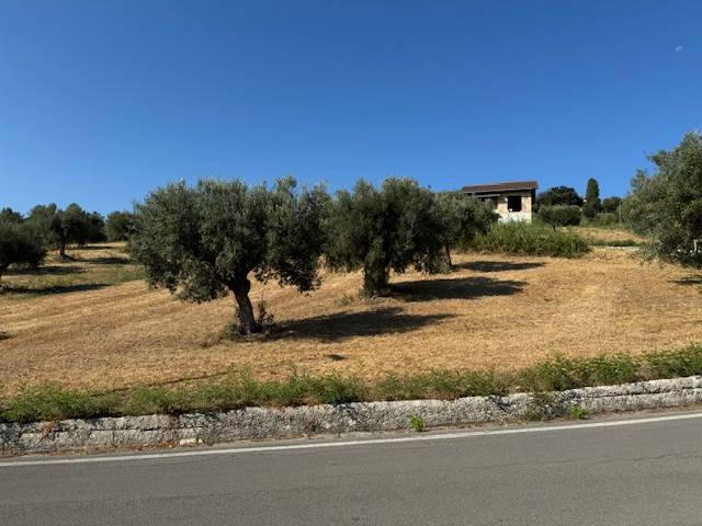 Terreno Agricolo in vendita a Tortoreto