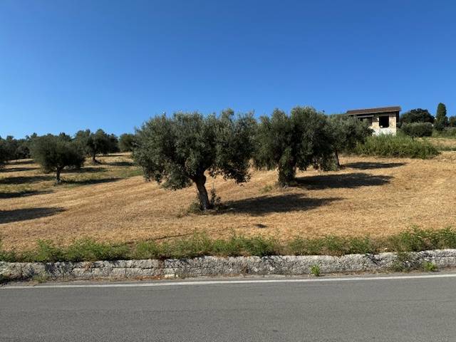 Terreno Agricolo in vendita a Tortoreto