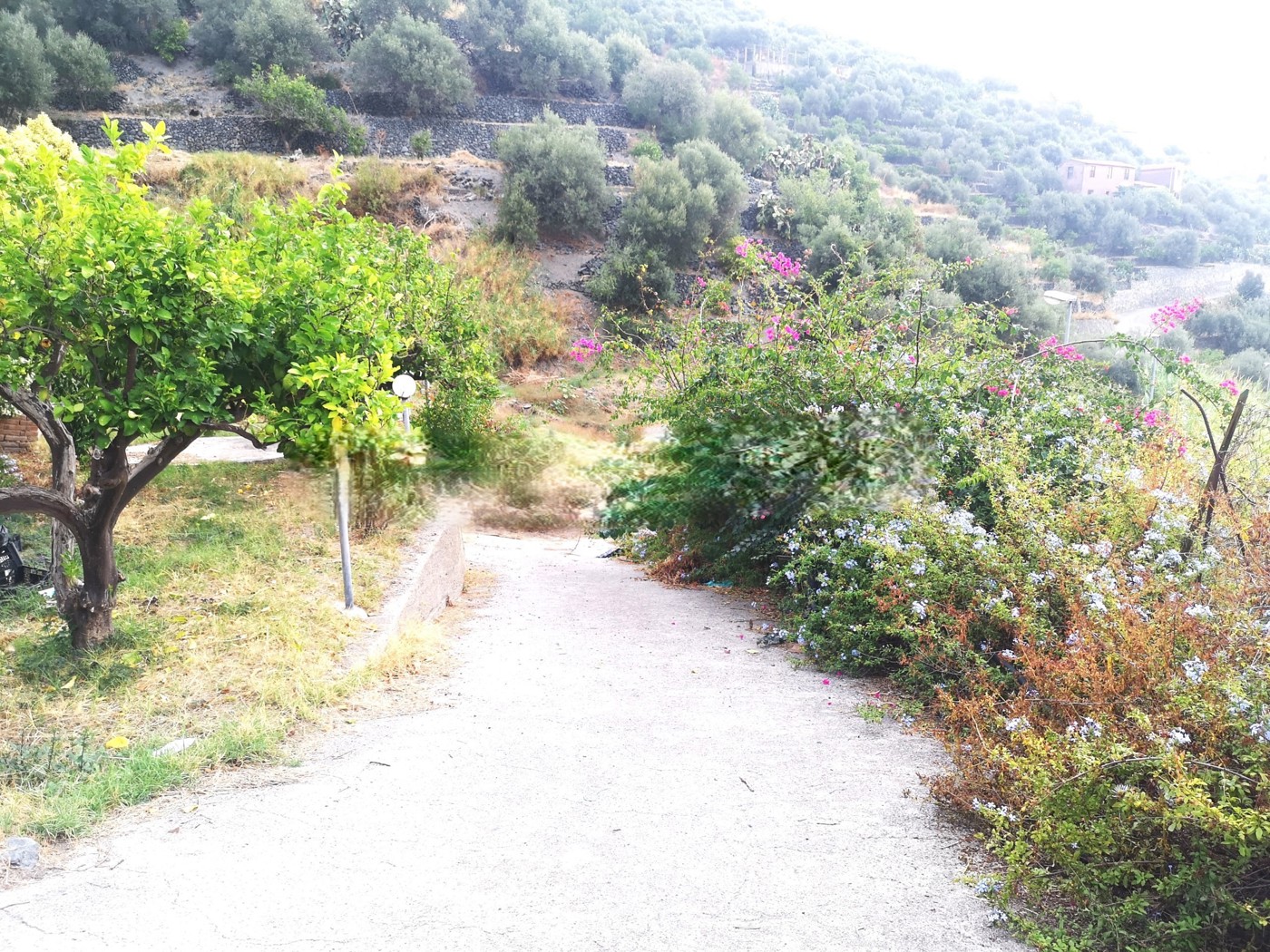 Villa con giardino a Scaletta Zanclea