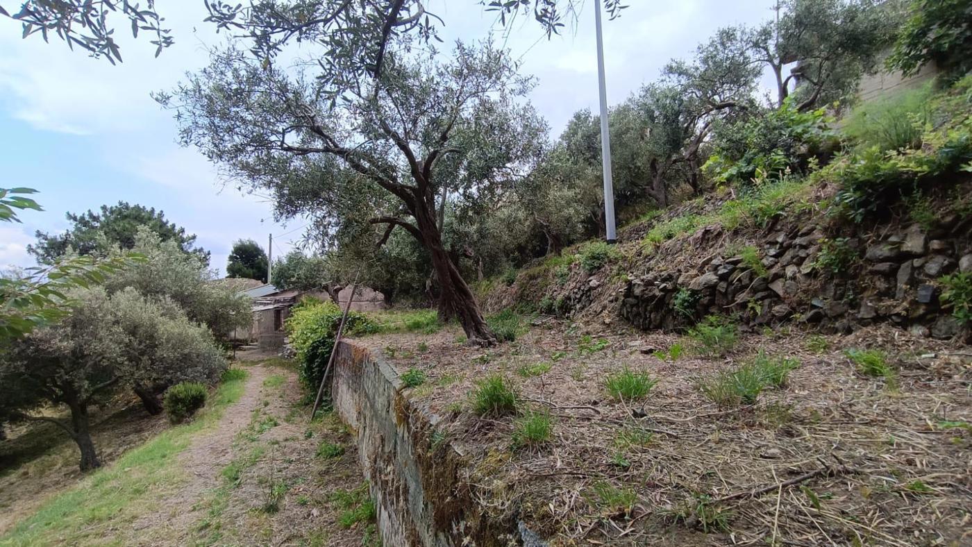 Terreno Agricolo vista mare a Messina