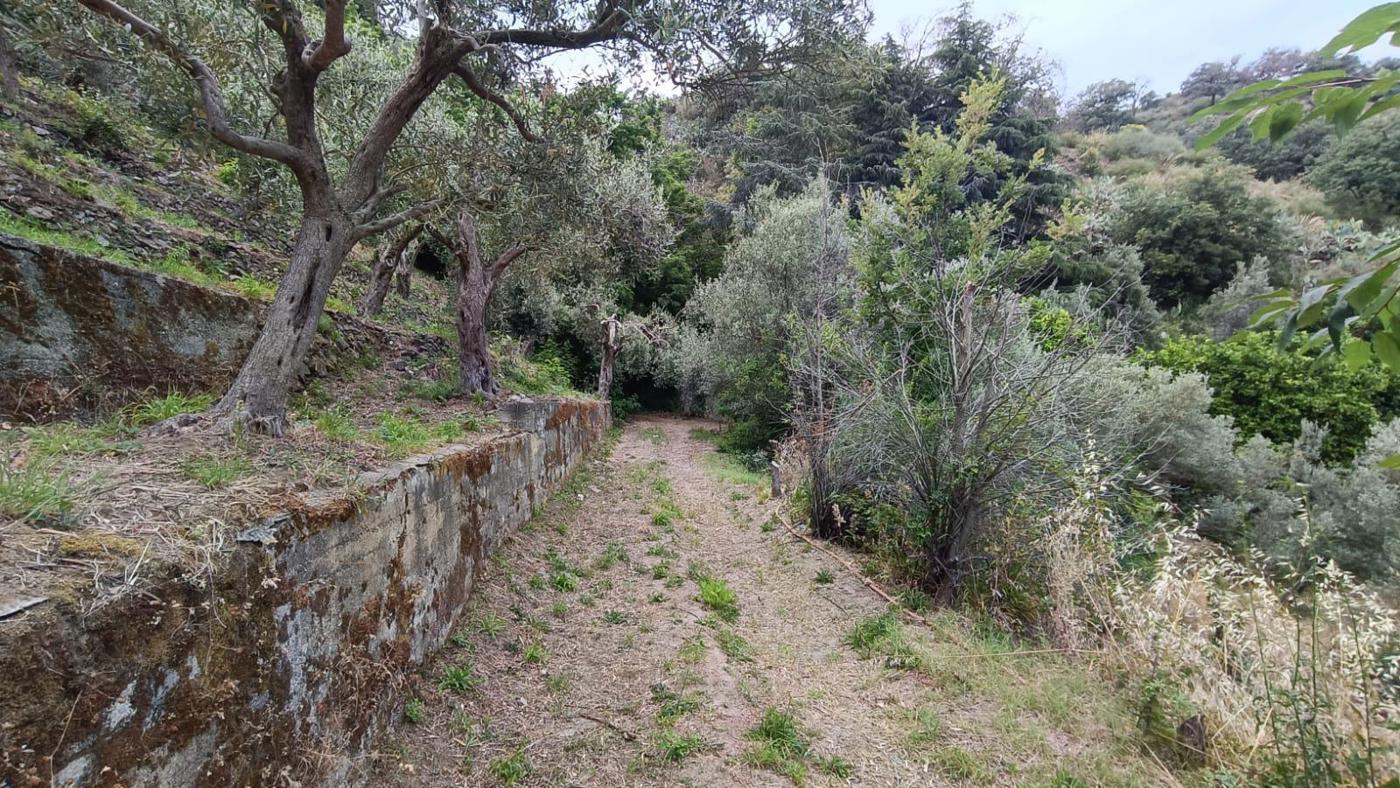 Terreno Agricolo vista mare a Messina