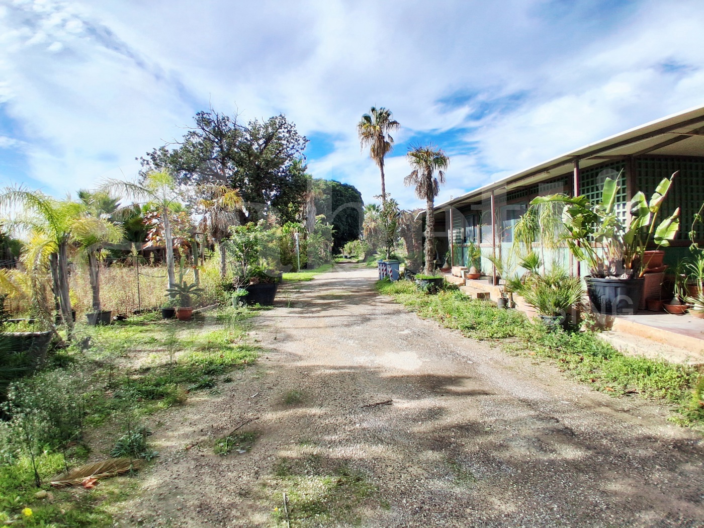 Terreno Agricolo in vendita a Ragusa