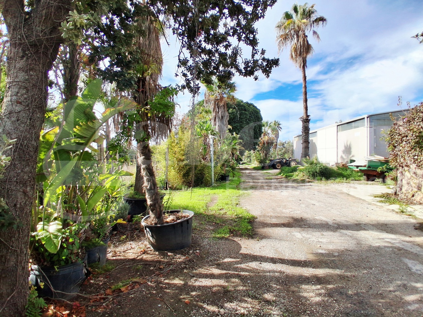 Terreno Agricolo in vendita a Ragusa