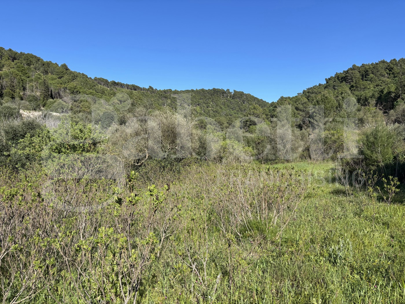 Rustico in vendita a Chiaramonte Gulfi