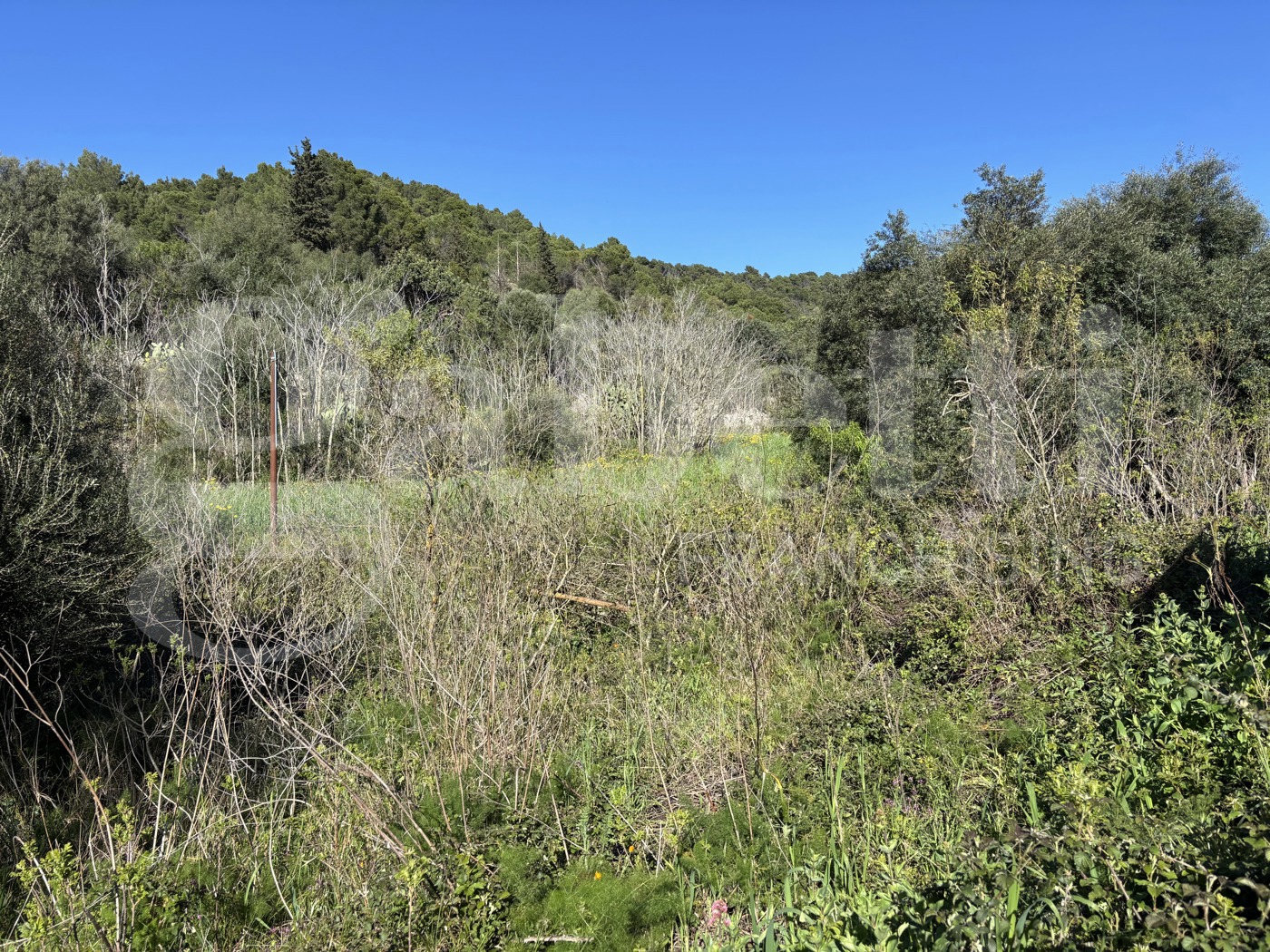 Rustico in vendita a Chiaramonte Gulfi