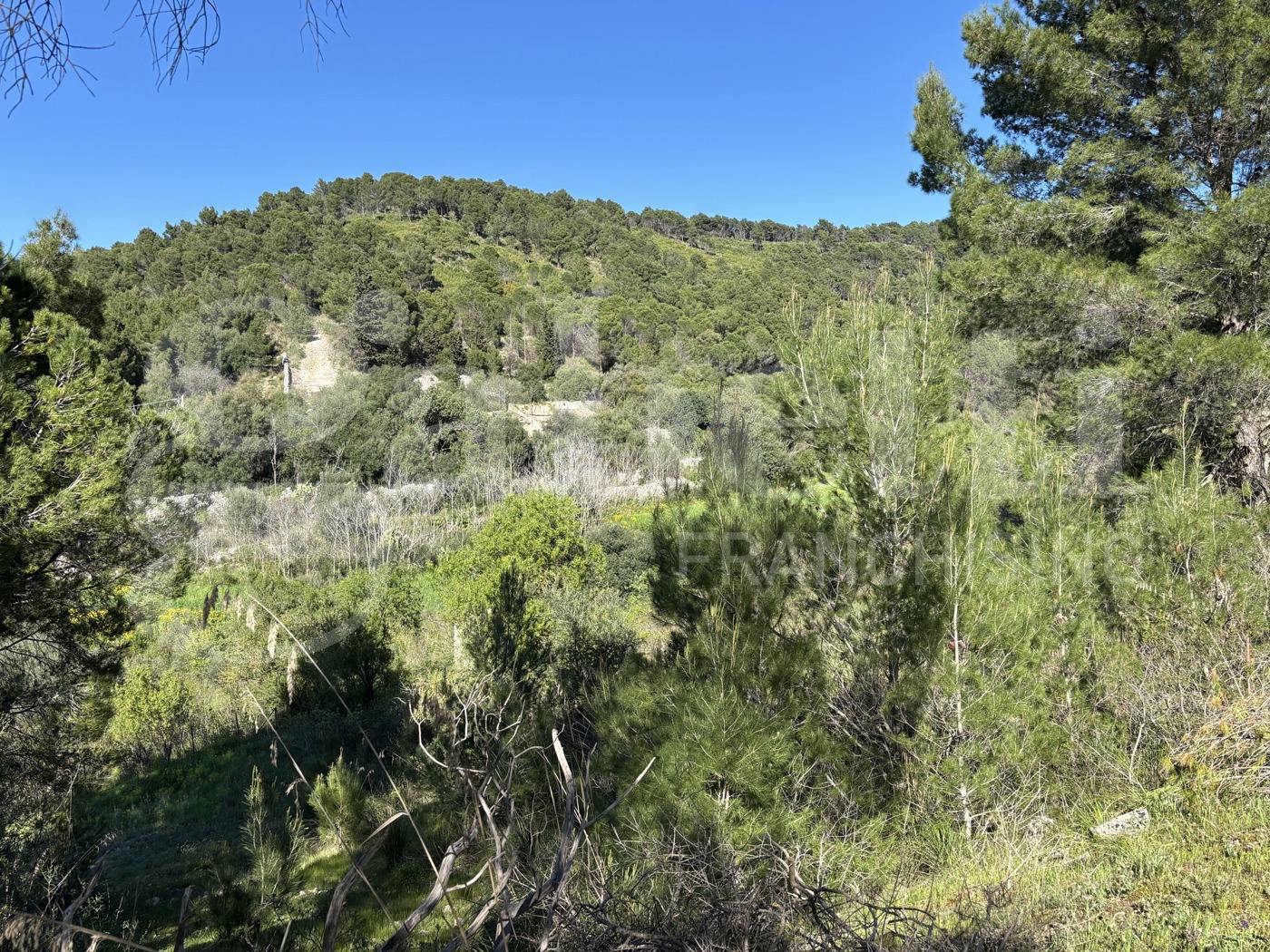 Rustico in vendita a Chiaramonte Gulfi