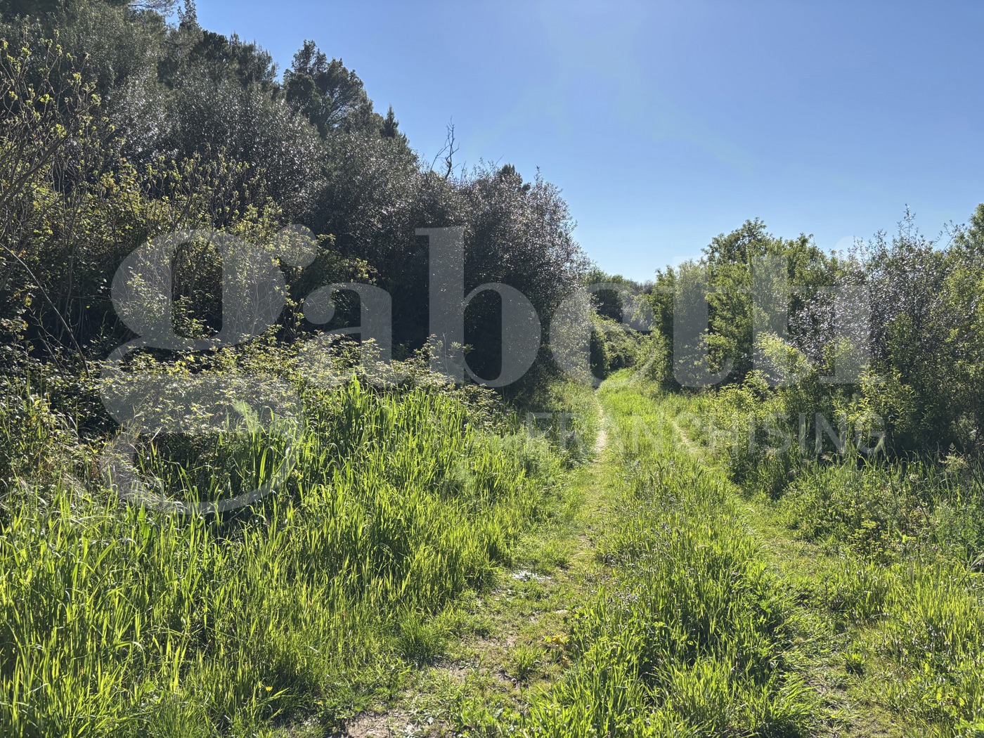Rustico in vendita a Chiaramonte Gulfi