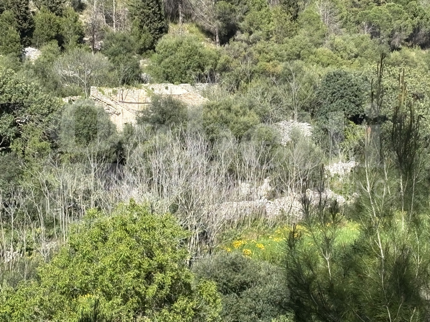 Rustico in vendita a Chiaramonte Gulfi