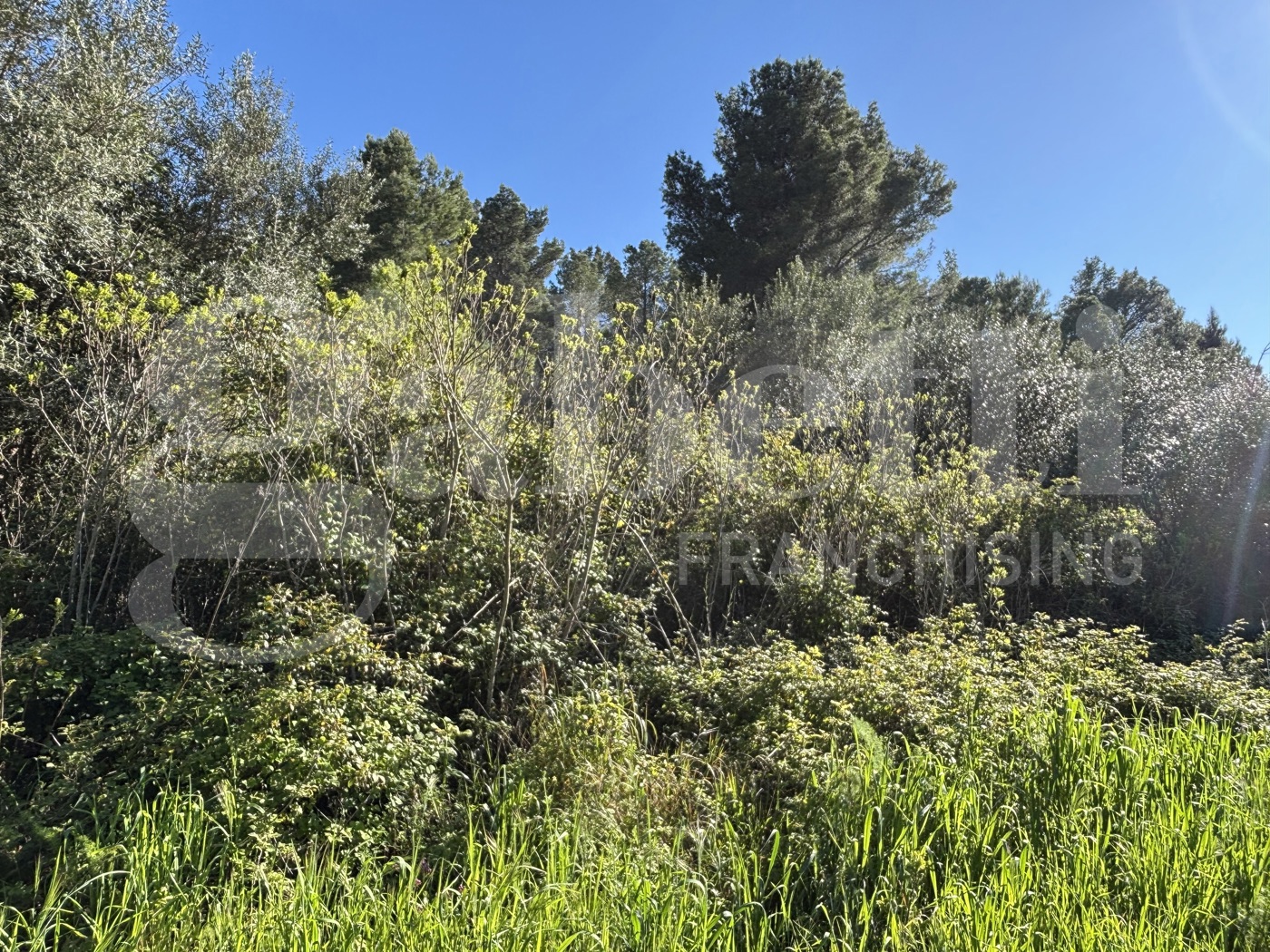 Rustico in vendita a Chiaramonte Gulfi