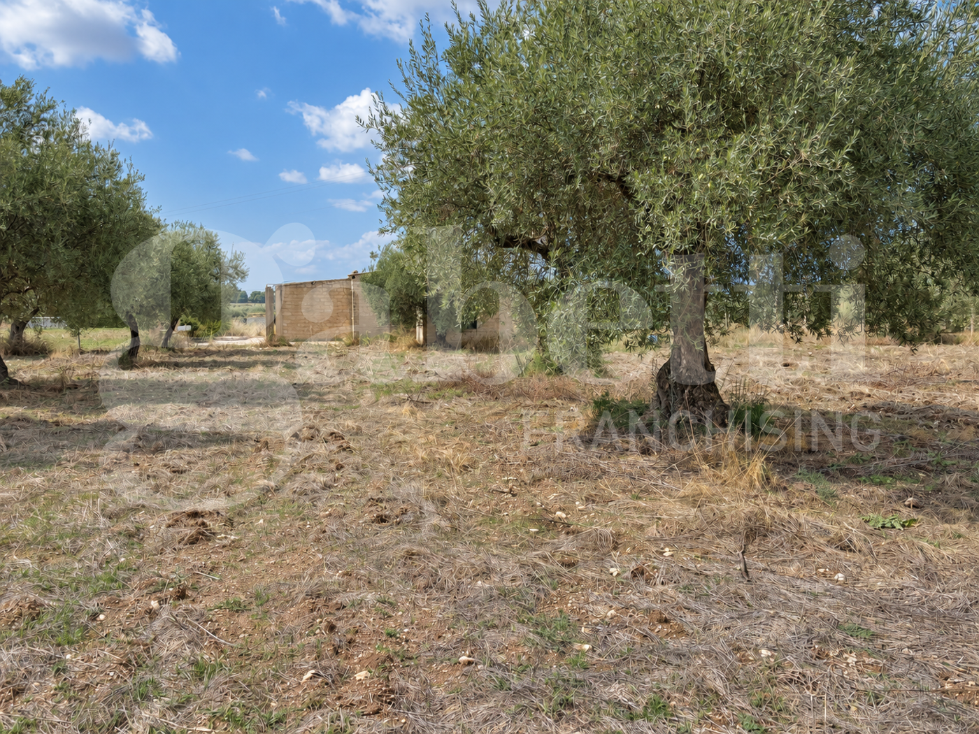 Terreno Agricolo in vendita a Chiaramonte Gulfi