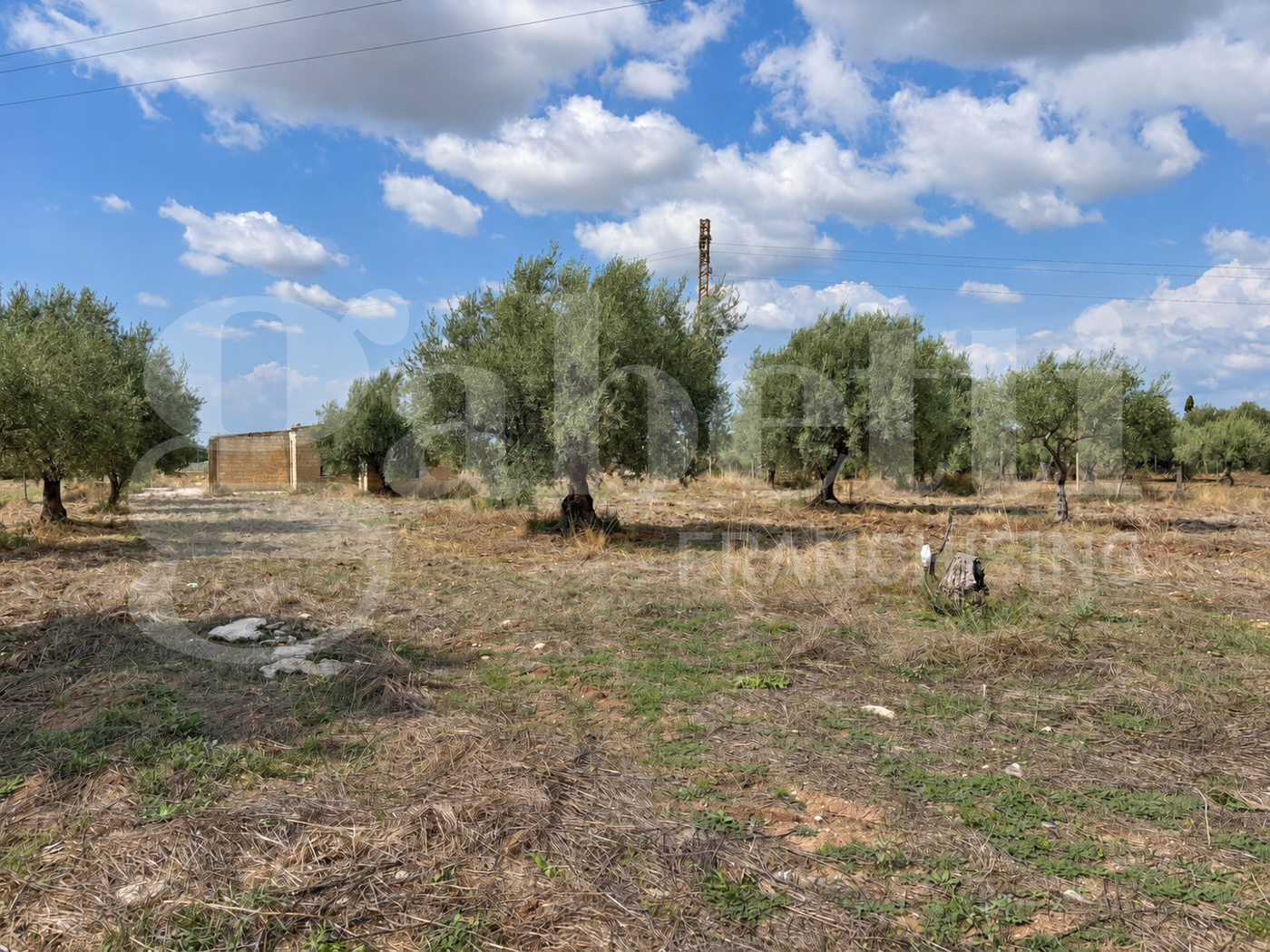 Terreno Agricolo in vendita a Chiaramonte Gulfi