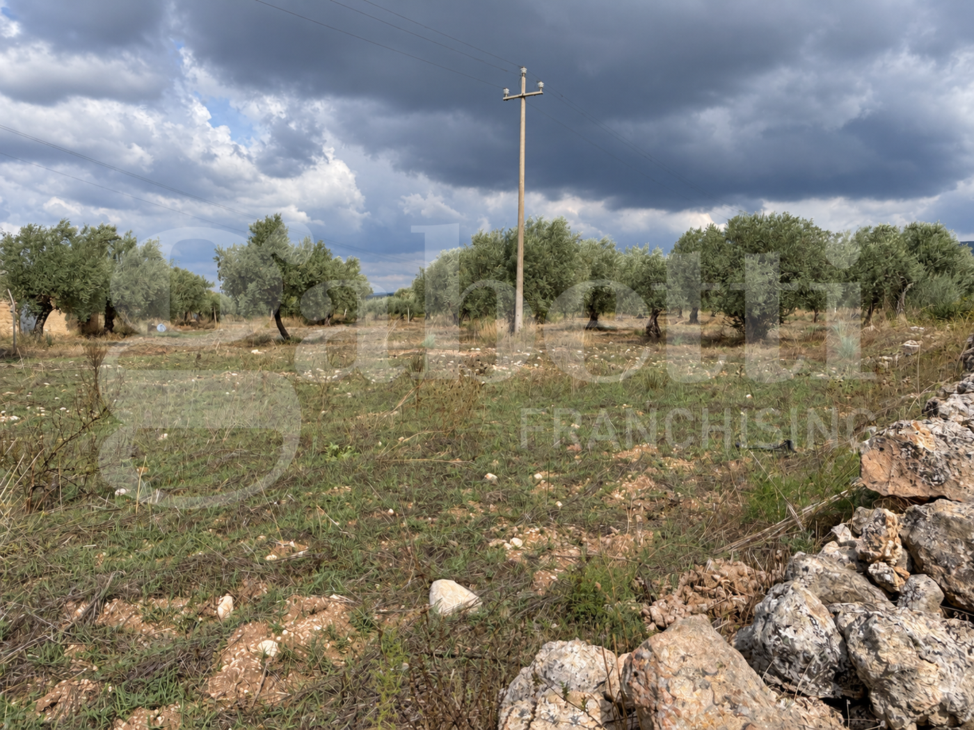 Terreno Agricolo in vendita a Chiaramonte Gulfi