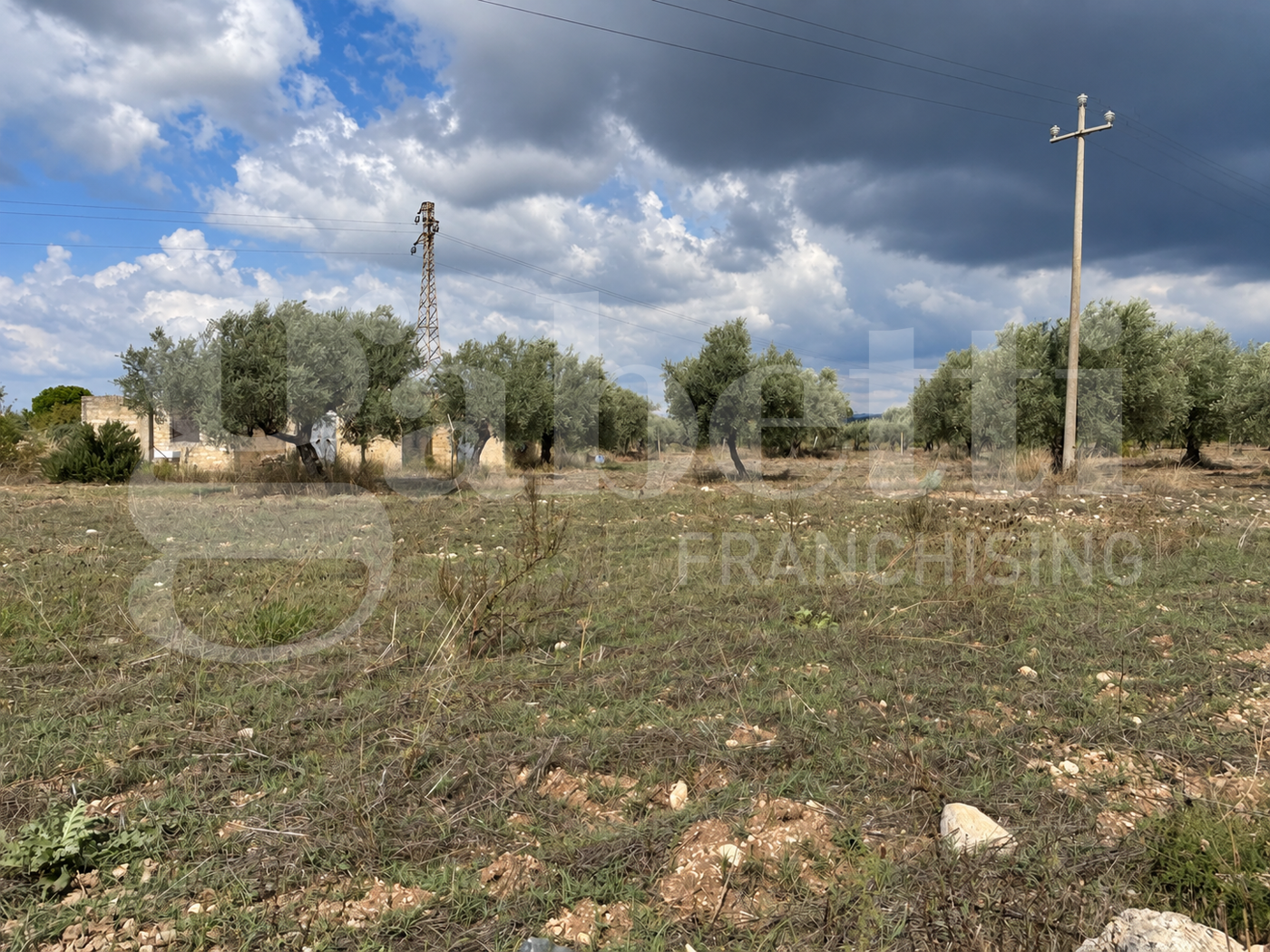 Terreno Agricolo in vendita a Chiaramonte Gulfi