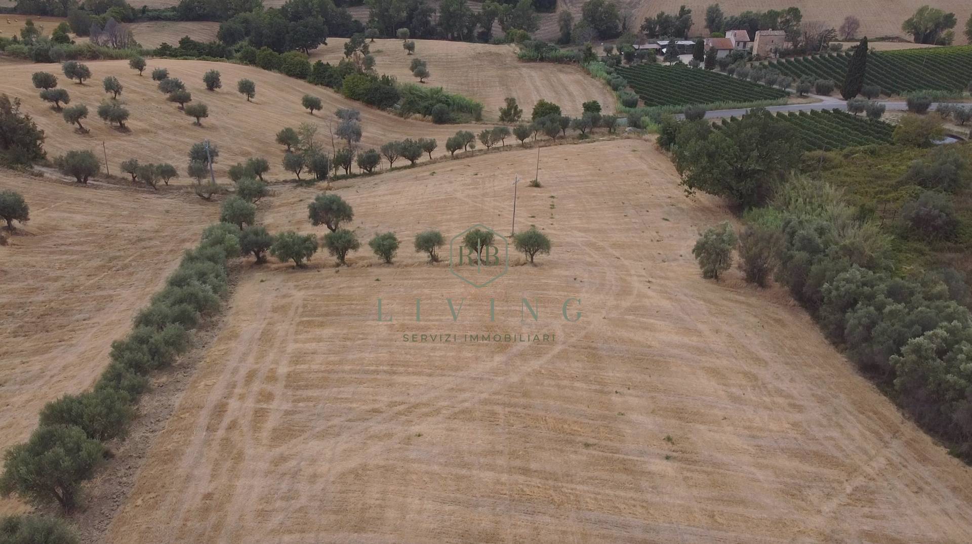 Terreno Agricolo in vendita a Massignano, Campagna