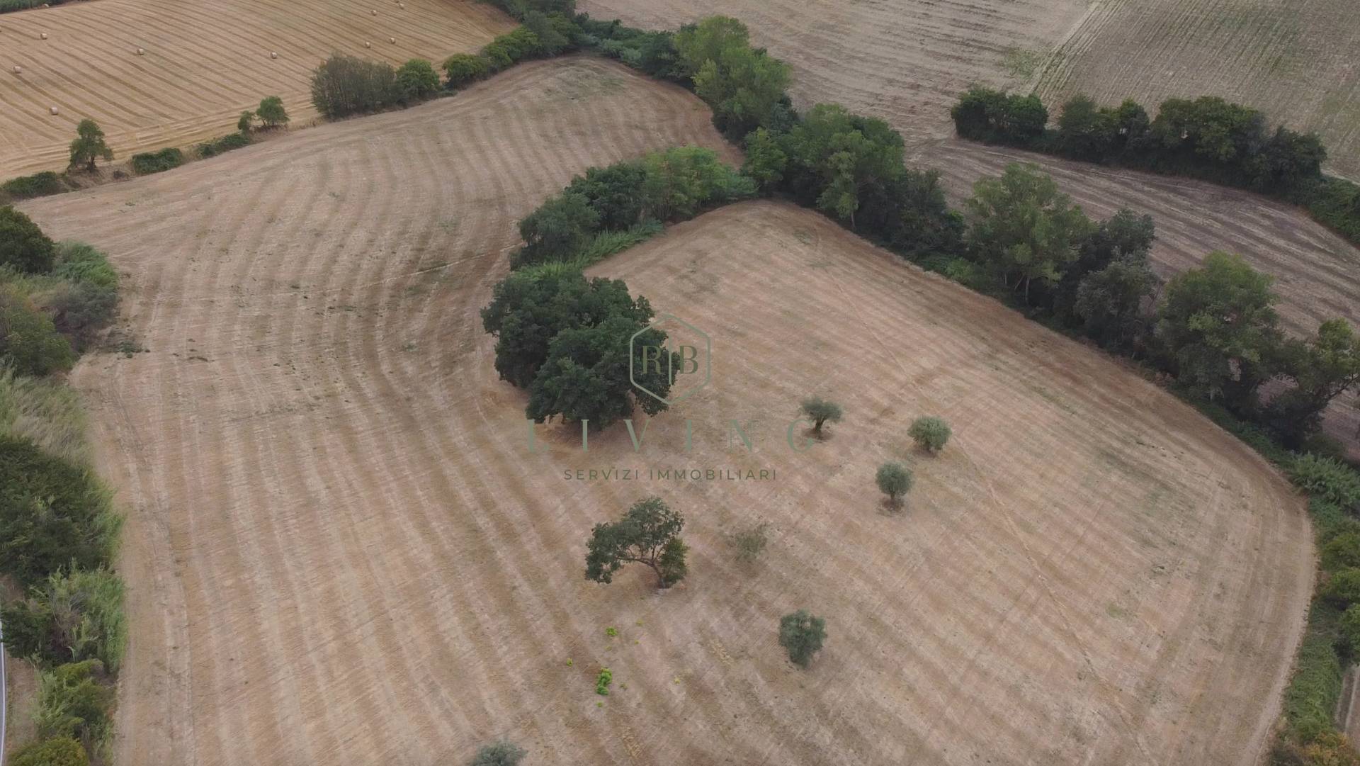 Terreno Agricolo in vendita a Massignano, Campagna