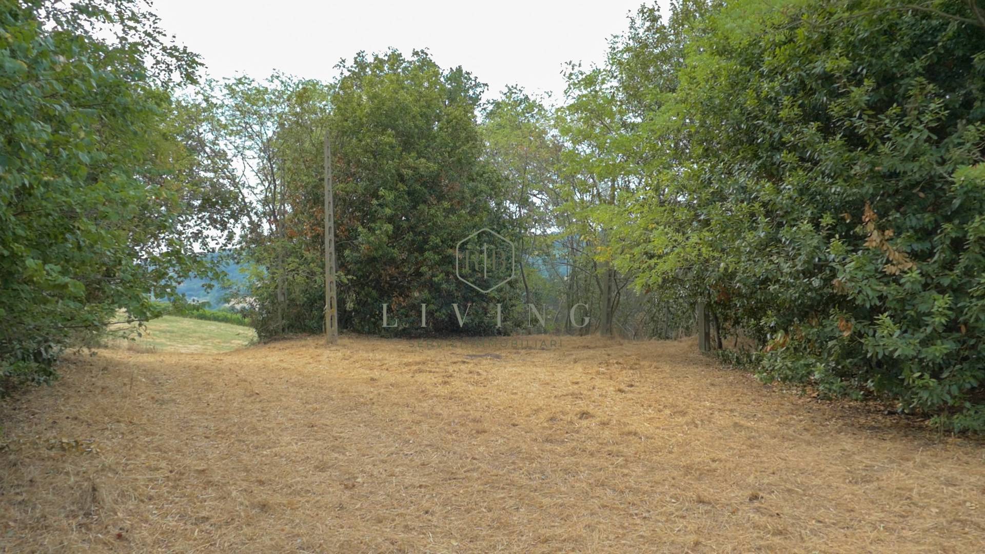 Rustico in vendita a Massignano, Campagna