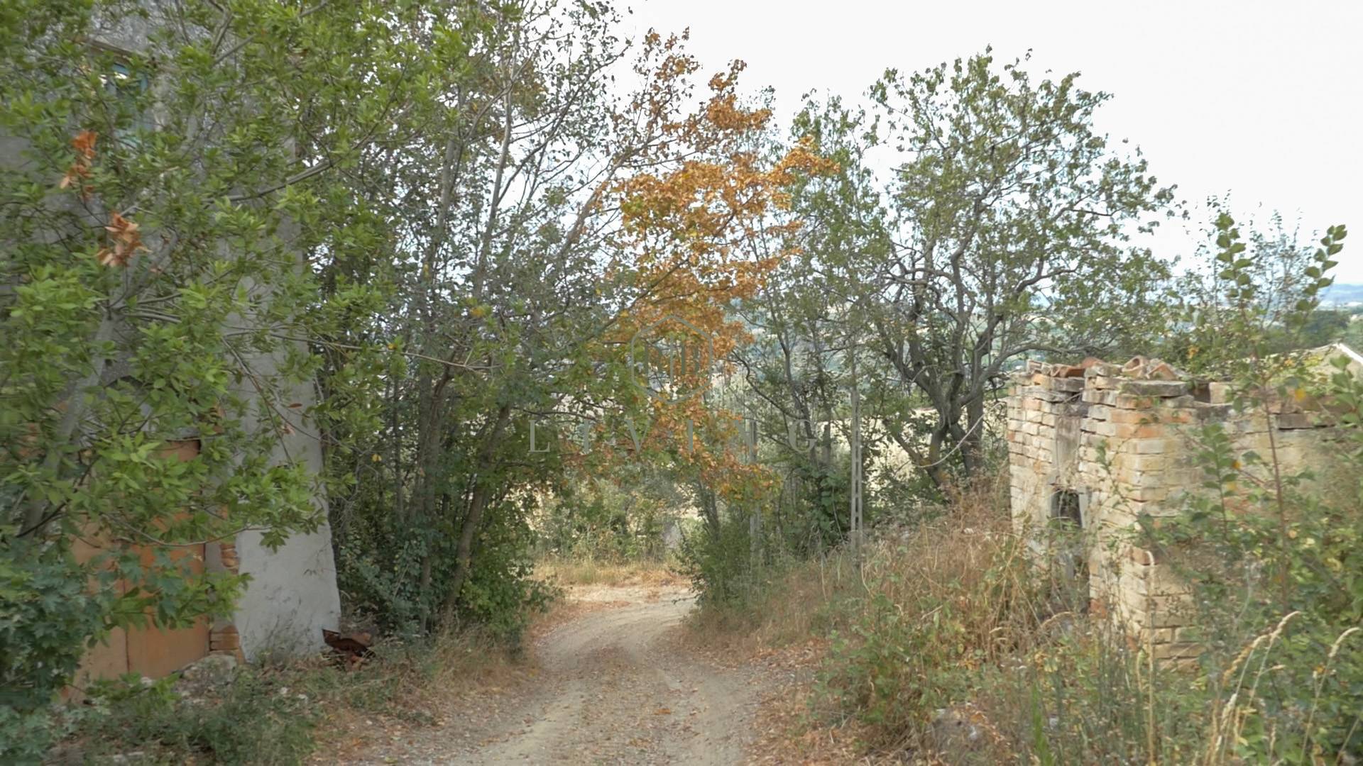 Rustico in vendita a Massignano, Campagna