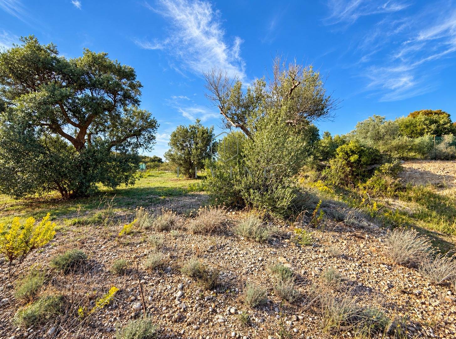 Terreno edificabile in vendita a Cupra Marittima, Campagna