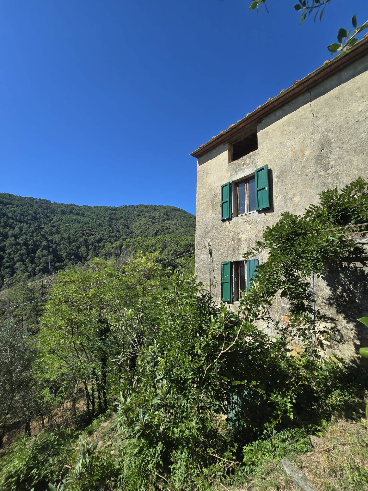 Rustico in vendita a Calci, Santa Lucia