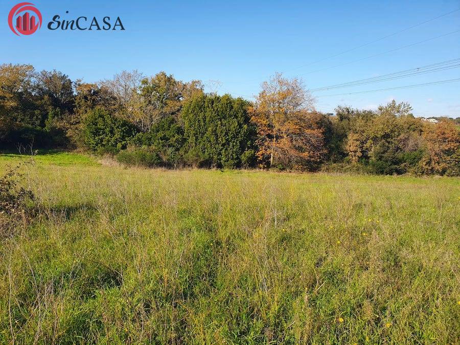 Terreno Agricolo in vendita a Fiumicino