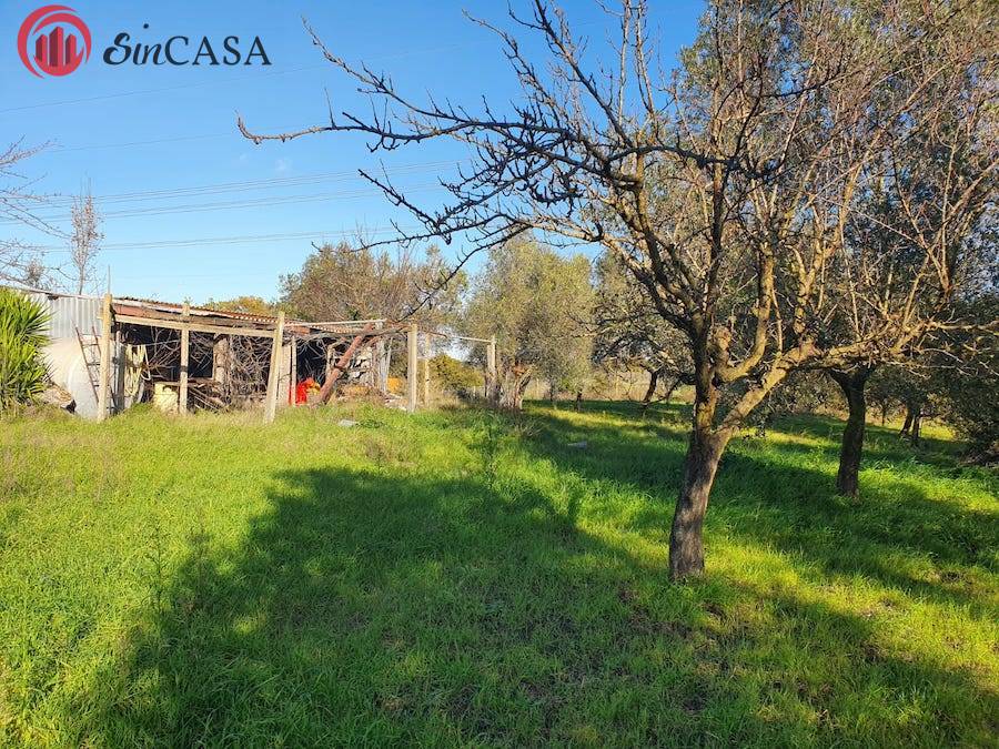 Terreno Agricolo in vendita a Fiumicino