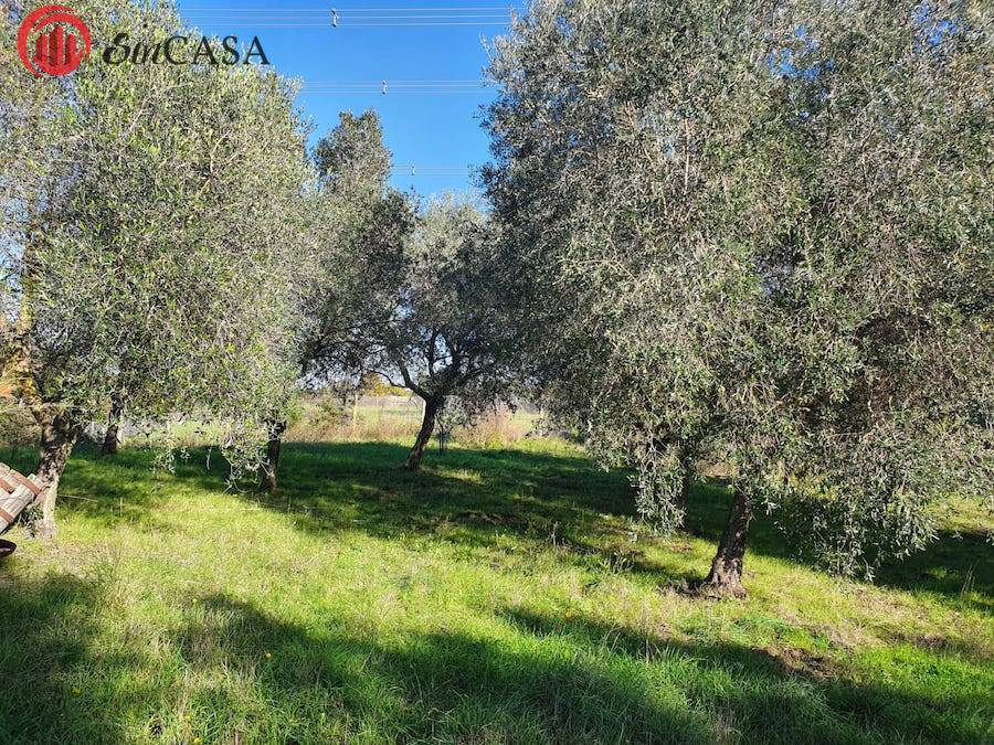 Terreno Agricolo in vendita a Fiumicino