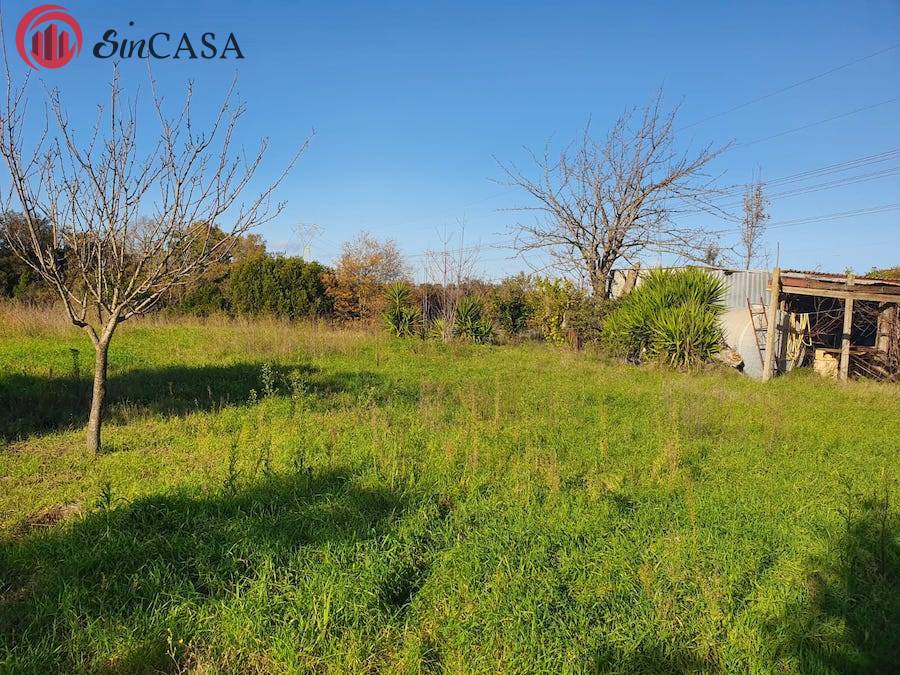 Terreno Agricolo in vendita a Fiumicino