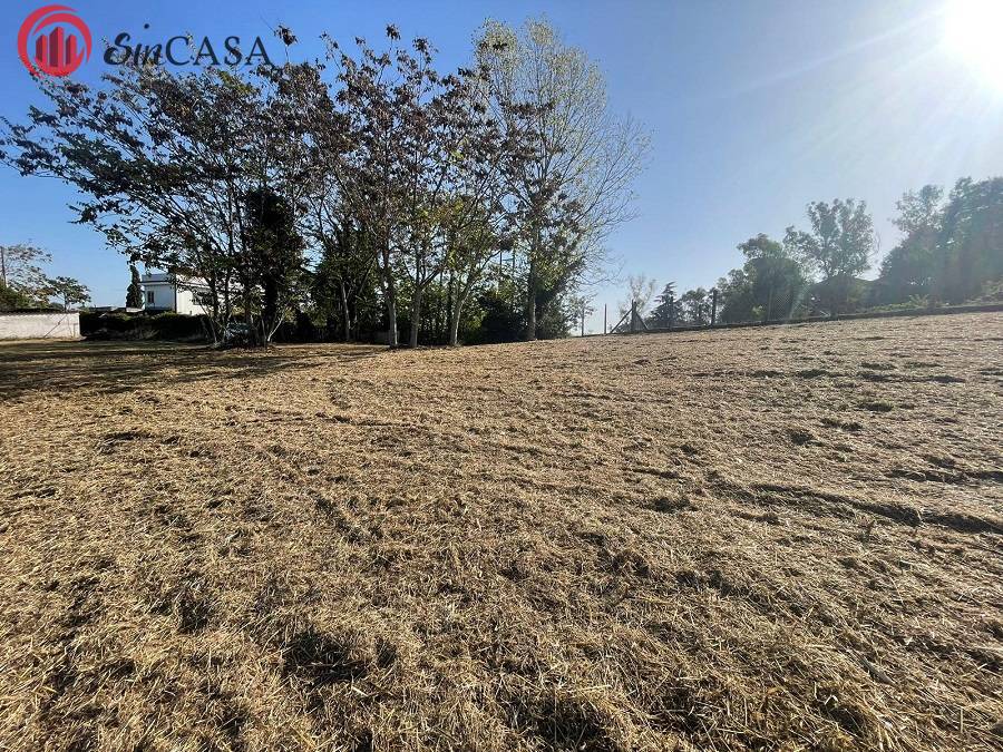 Terreno edificabile in vendita a Fiumicino, Aranova