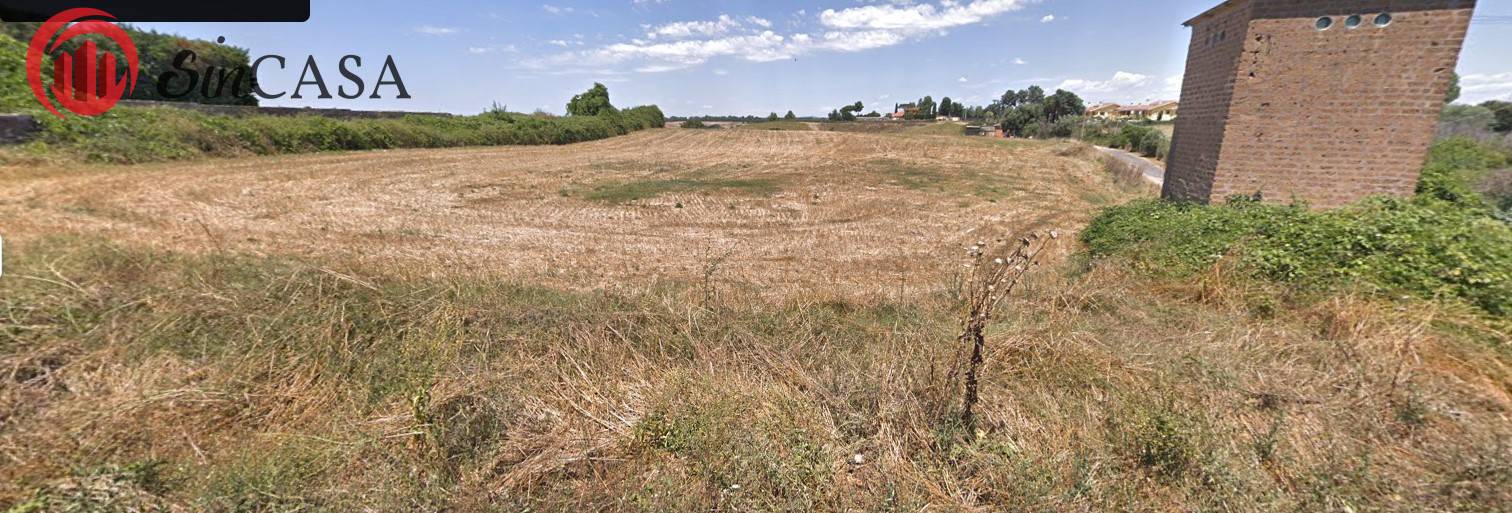 Terreno Agricolo in vendita a Roma, Massimina