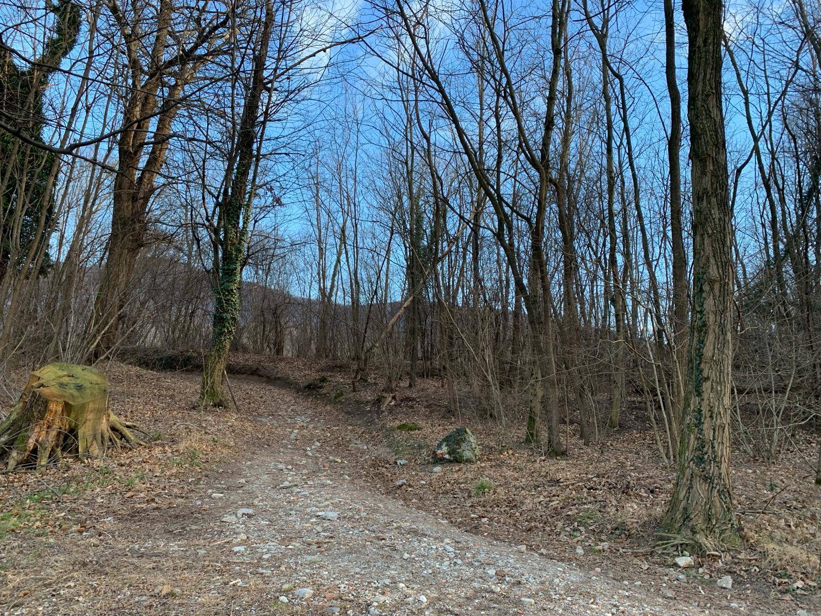 Terreno Agricolo in vendita a Gemonio, Piana
