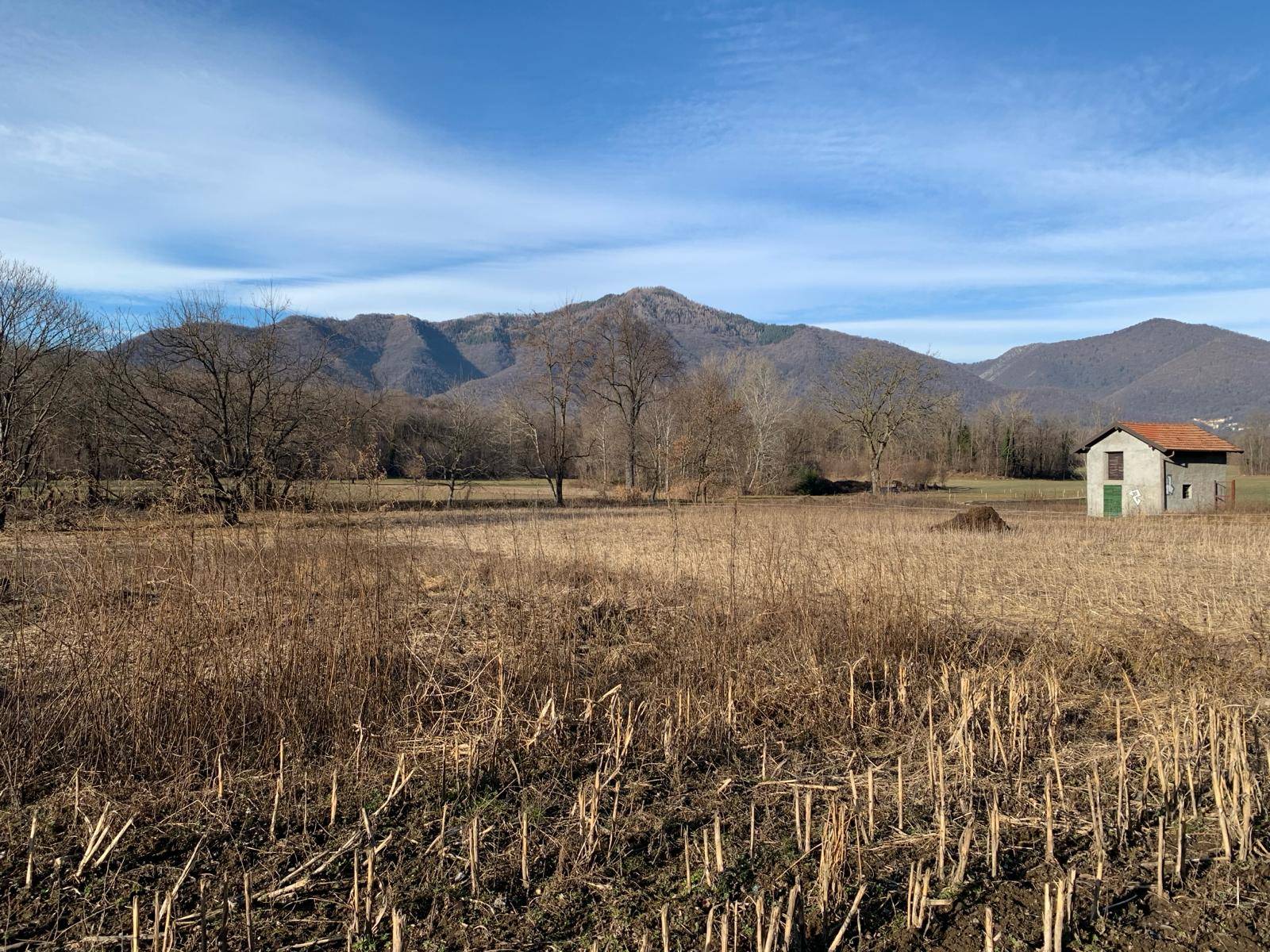 Terreno Agricolo in vendita a Gemonio