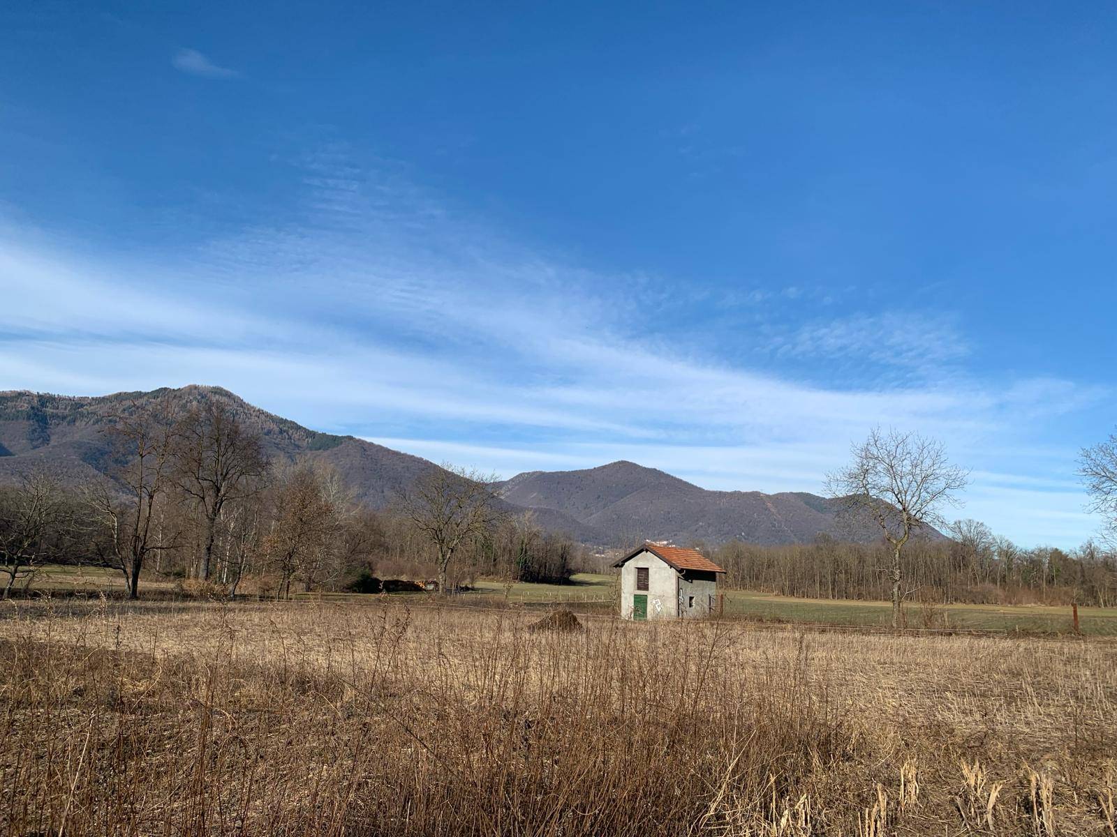 Terreno Agricolo in vendita a Gemonio