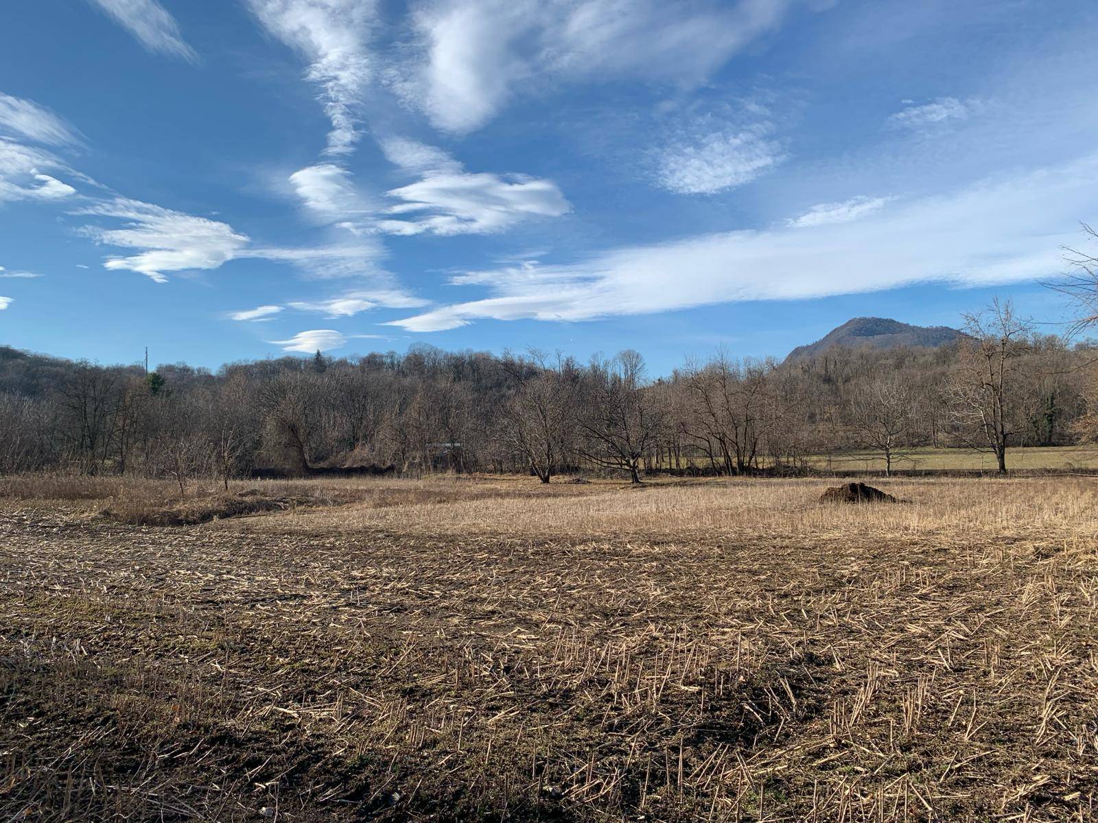 Terreno Agricolo in vendita a Gemonio