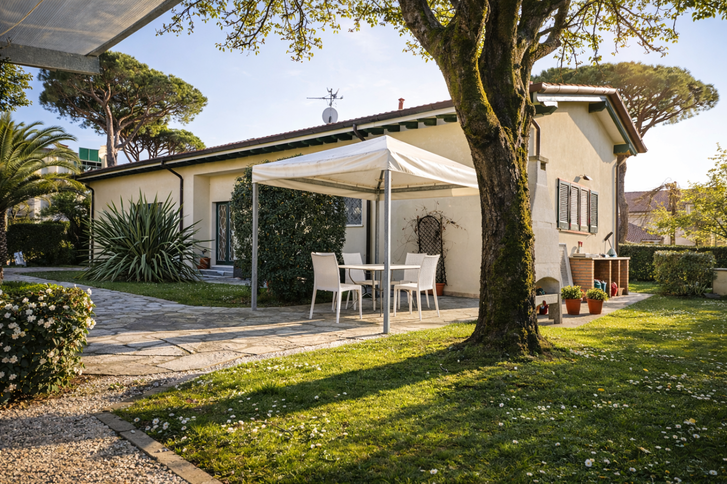 immagine annuncio 3 di 6